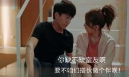 恋爱先生短视频,甜蜜邂逅，情感纠葛的浪漫旅程